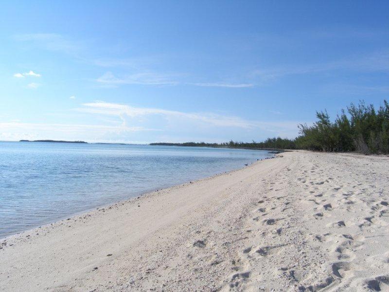 Caribbean Sandcastle Home James Cistern Esterno foto
